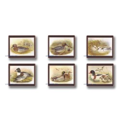 Lady Clare Gould Ducks Coasters