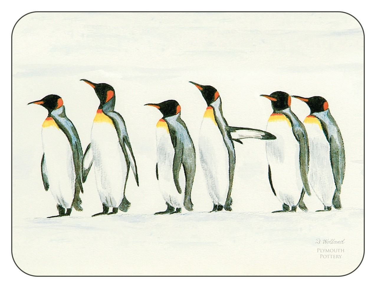 Penguin Parade...