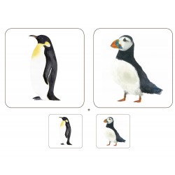 Melamine animal coasters and tablemats UK made Puffin plus Penguin set