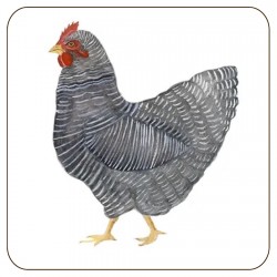 Melamine animal Hen coasters and table placemats UK made