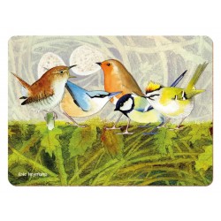 British Birds Nest placemats by Eric Heyman for Emma Ball